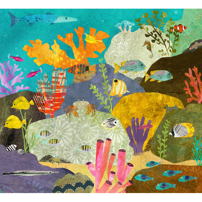 Amy Schimler-Safford interview image 0