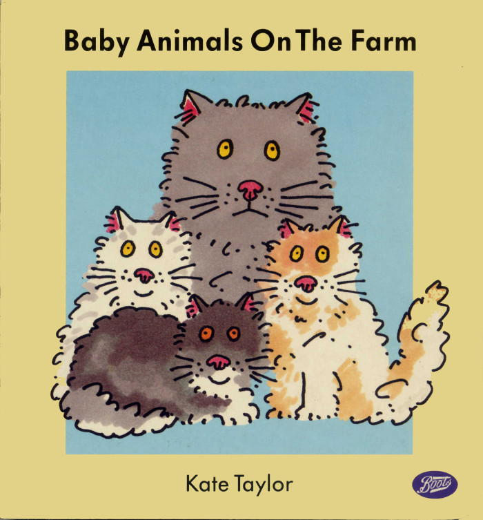 Kate Taylor interview image 0
