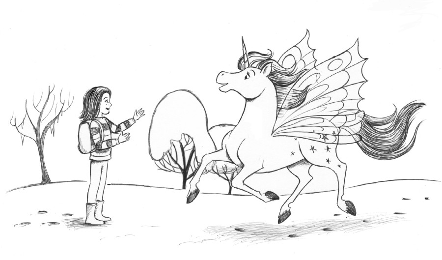 Fairy Unicorns: Frost Fair and Star Spell