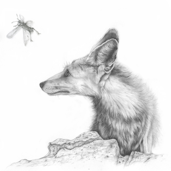 Wildlife art Award