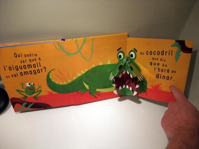 Pop-up books