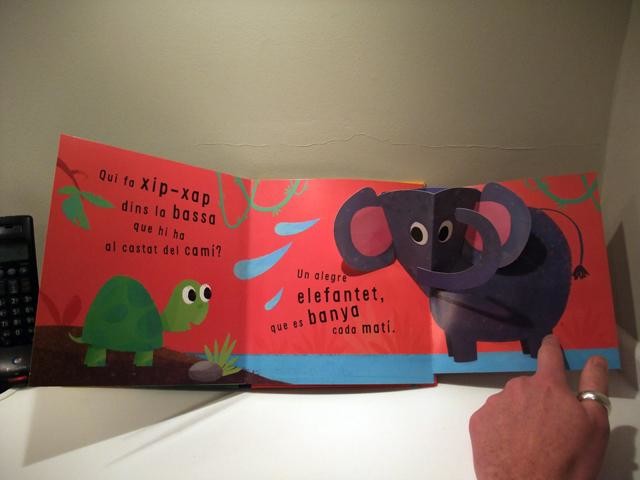 Pop-up books