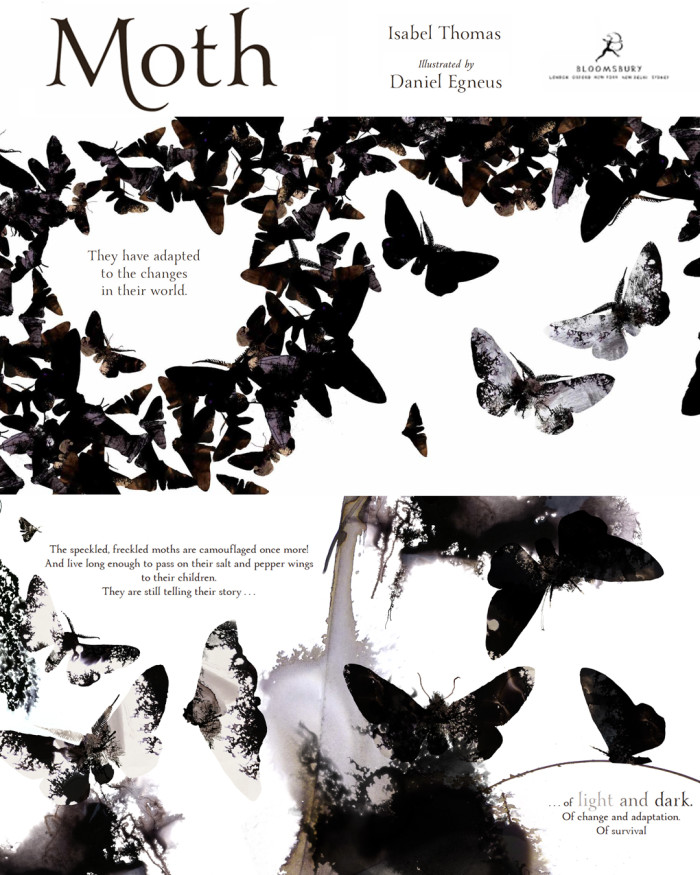 Daniel Egneus nominated for Kate Greenaway Medal!