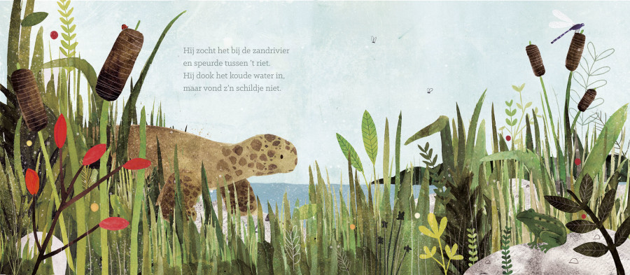 The Turtle Who Lost His Shell