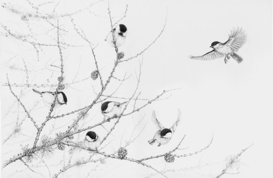 Wildlife art Award