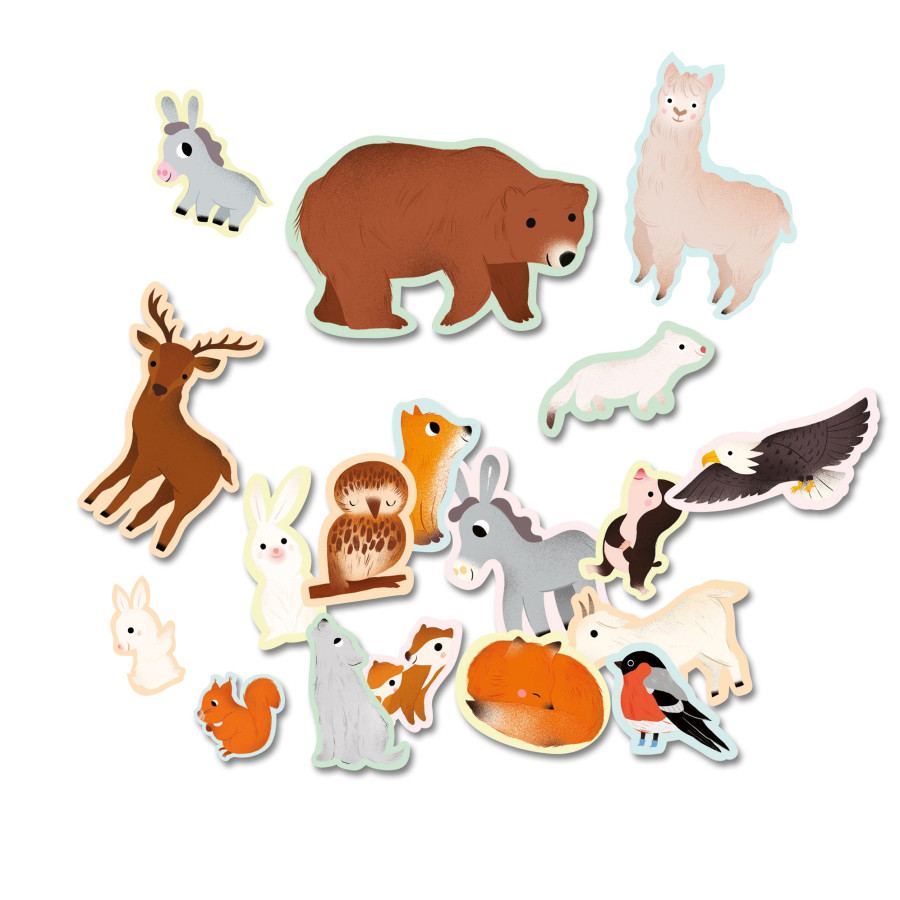 Sticker book - Auzou Editions