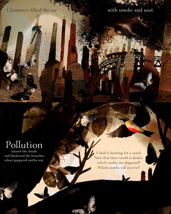 Daniel Egneus nominated for Kate Greenaway Medal!